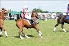 UKPA NC SAT_2428